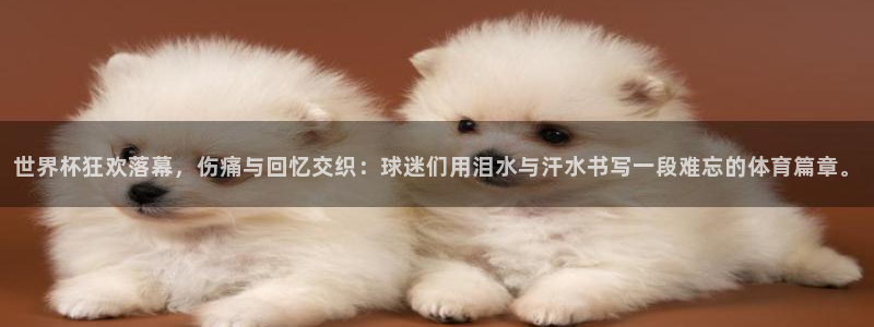 2026世界杯中国队：世界杯狂欢落幕，伤痛与回忆交织：球迷们用泪水与汗水书写一段难忘的体育篇章。