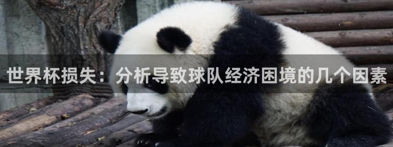 免费看足球直播比赛：世界杯损失：分析导致球队经济困境的几个因素