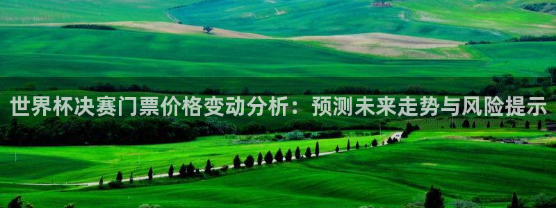 免费看足球直播比赛：世界杯决赛门票价格变动分析：预测未来走势与风险提示