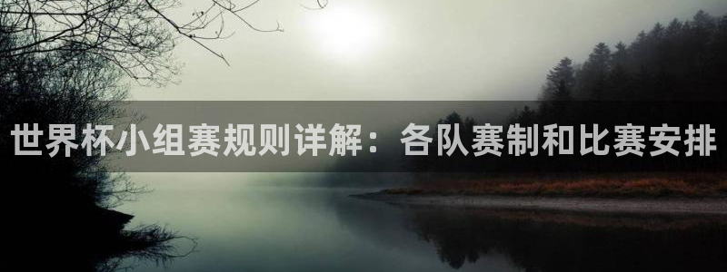 英足总杯直播：世界杯小组赛规则详解：各队赛制和比赛安排