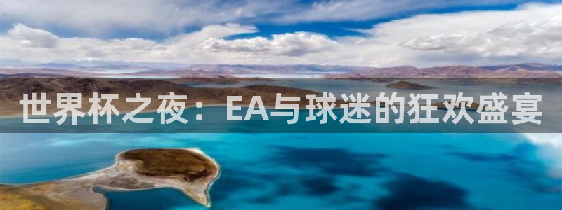 世界杯球赛：世界杯之夜：EA与球迷的狂欢盛宴