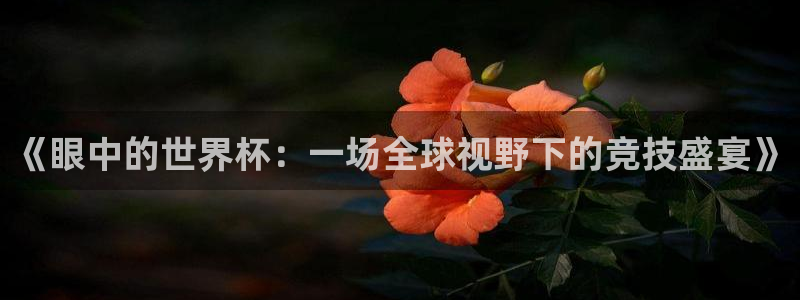 26世界杯：《眼中的世界杯：一场全球视野下的竞技盛宴》