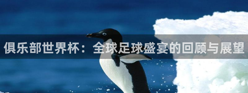 足球世预赛：俱乐部世界杯：全球足球盛宴的回顾与展望