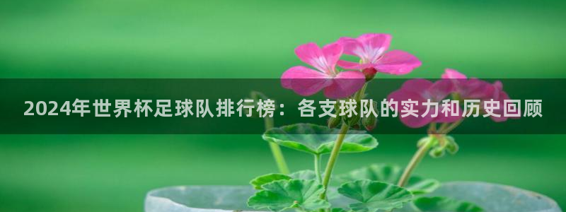 世界直播：2024年世界杯足球队排行榜：各支球队的实力和历史回顾