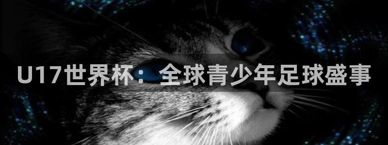 世界杯赛程2026：U17世界杯：全球青少年足球盛事