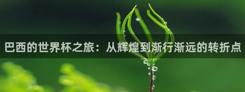 世界杯预选赛排名：巴西的世界杯之旅：从辉煌到渐行渐远的转折点