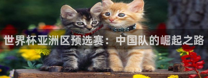 世界杯预选赛亚洲区积分榜：世界杯亚洲区预选赛：中国队的崛起之路