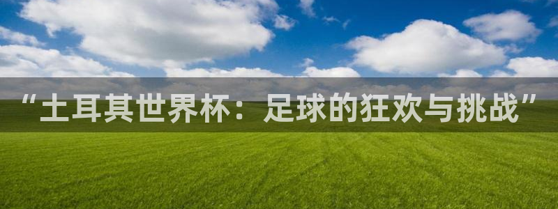 2026年男足世界杯：“土耳其世界杯：足球的狂欢与挑战”