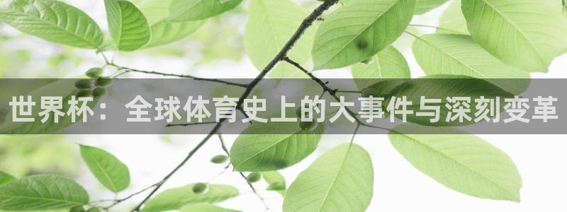 足球世界杯2026年赛程时间表：世界杯：全球体育史上的大事件与深刻变革