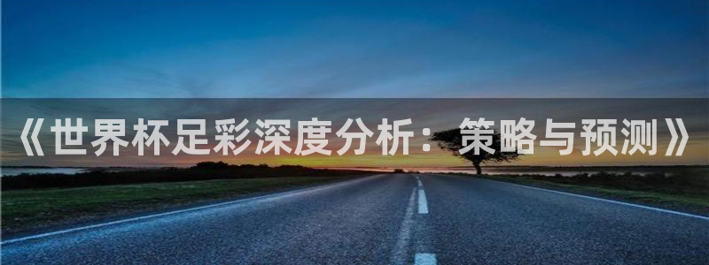 世界杯欧洲预选赛赛程：《世界杯足彩深度分析：策略与预测》